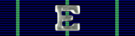 navy sharpshooter ribbon