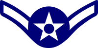 Rank badge of a Airman Basic