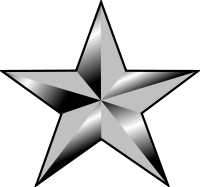 brigadier general rank insignia