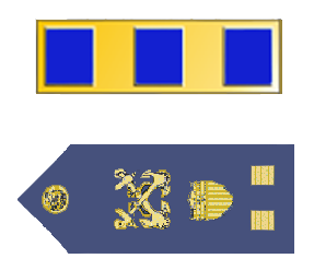 Rank badge of a Chief Warrant Officer 2