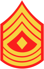 Rank badge of a First Sergeant